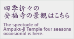 四季折々の安福寺の景観はこちら The spectacle of Ampuku-ji Temple four season soccasional is here. 